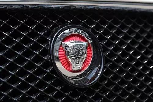 車標(biāo)上的動(dòng)物都是啥來頭？看完又能出去裝X了